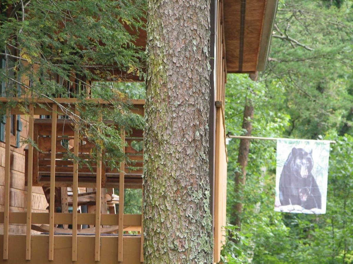 Sunset Ridge Cabin Pigeon Forge Εξωτερικό φωτογραφία