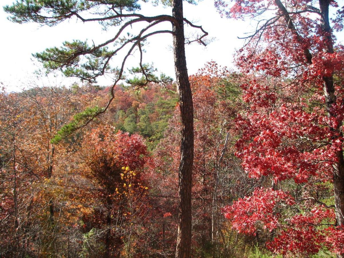 Sunset Ridge Cabin Pigeon Forge Εξωτερικό φωτογραφία
